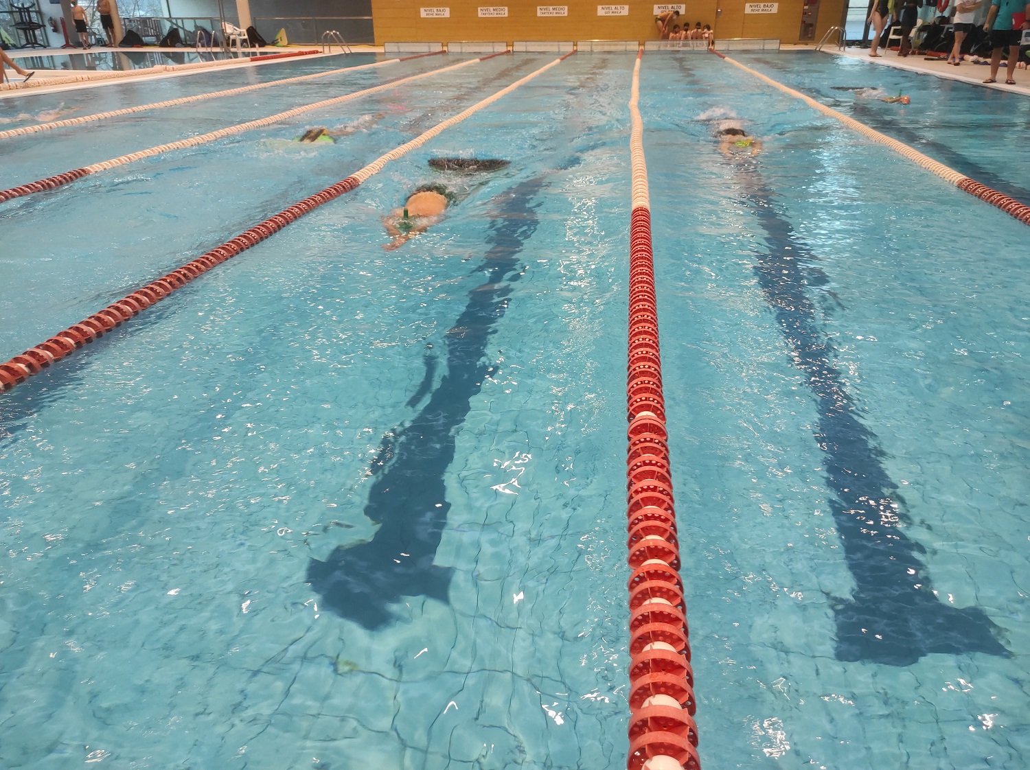 Celebrada la primera jornada de los JDN de natación con aletas